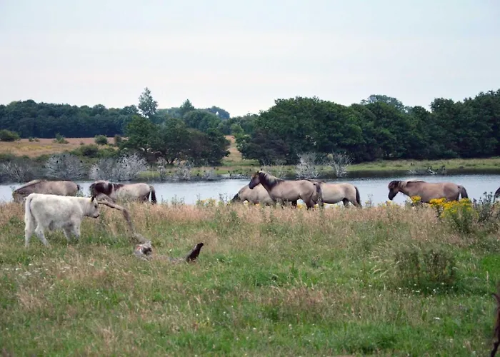 Casa vacanze Ankerplatz